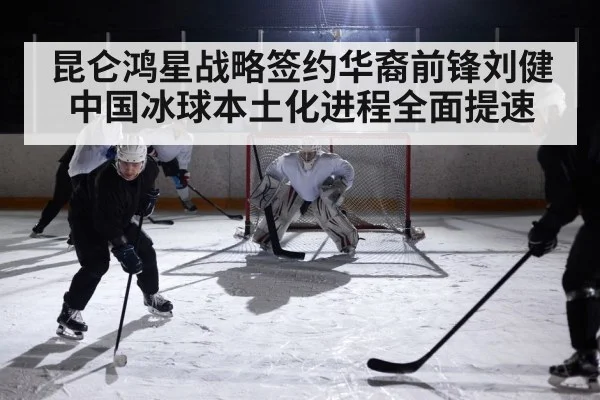 ice hockey rink game